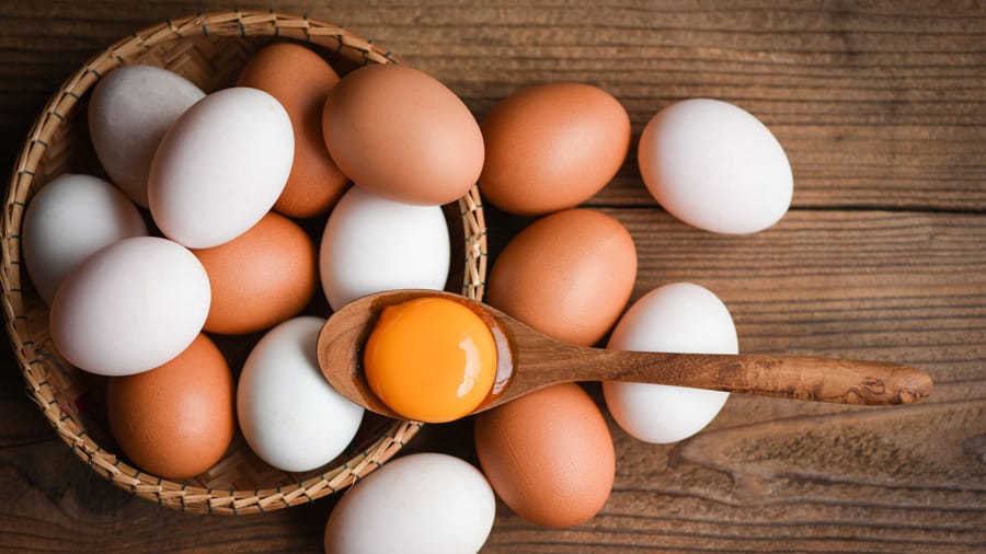 Giàu protein