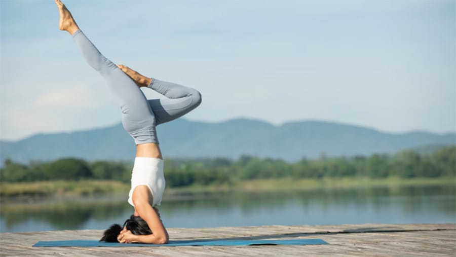 Tập Yoga mỗi ngày